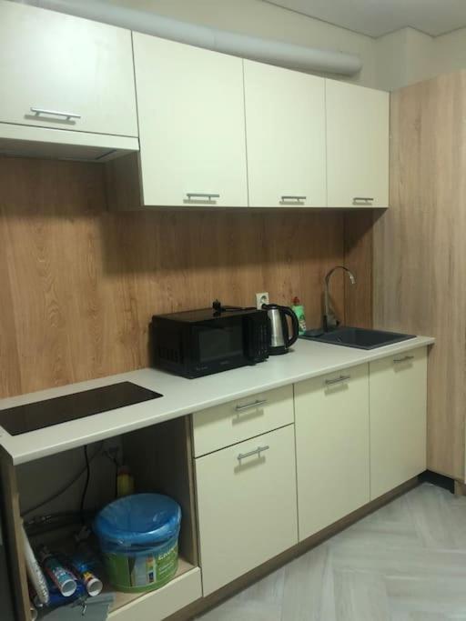 Apartment On Zarwanska Street 카미야네치포딜시키 외부 사진