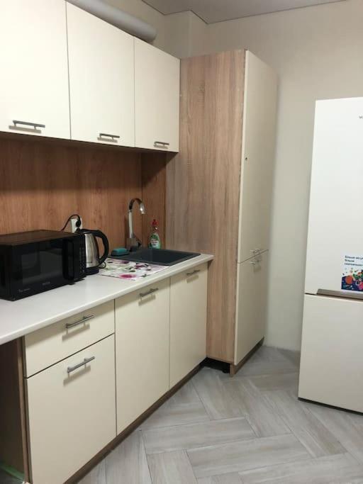 Apartment On Zarwanska Street 카미야네치포딜시키 외부 사진